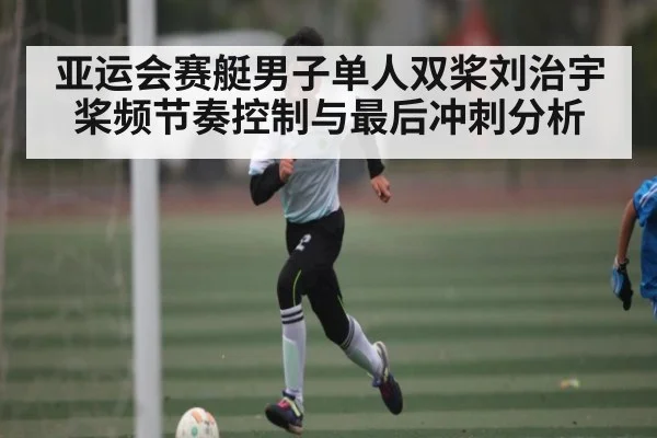 亚运会赛艇男子单人双桨刘治宇桨频节奏控制与最后冲刺分析